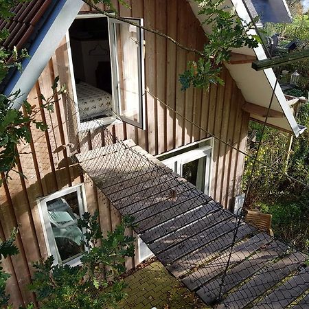 Bij En Boom Bed & Breakfast 드라흐덴 외부 사진