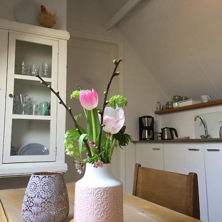 Bij En Boom Bed & Breakfast 드라흐덴 외부 사진