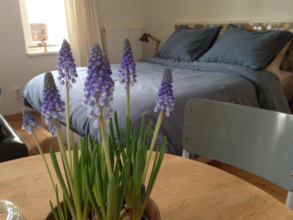 Bij En Boom Bed & Breakfast 드라흐덴 객실 사진