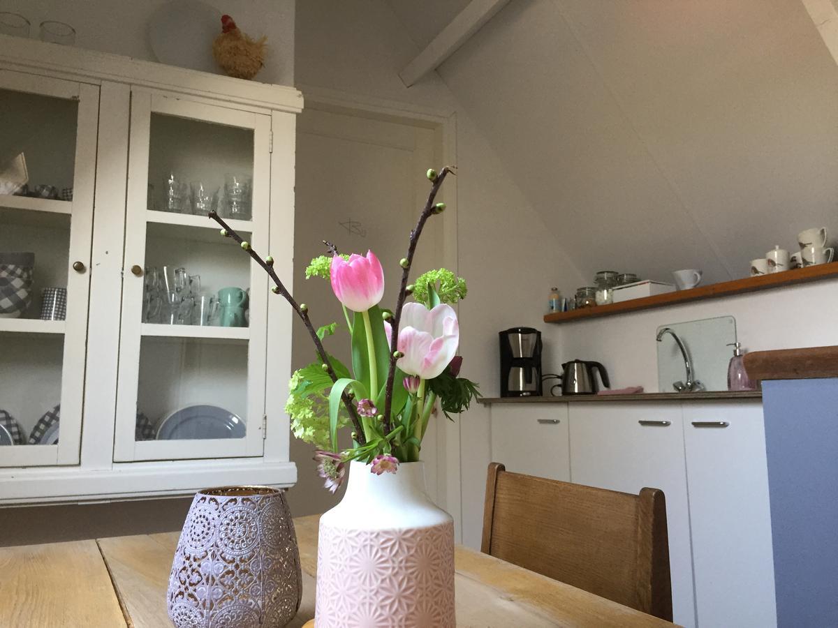 Bij En Boom Bed & Breakfast 드라흐덴 외부 사진
