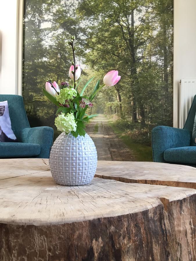 Bij En Boom Bed & Breakfast 드라흐덴 외부 사진